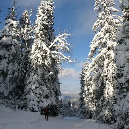 Guest house Salamandra Village