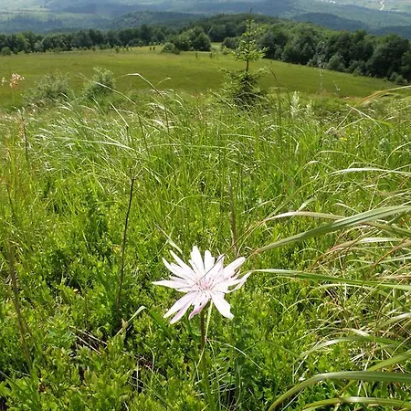 Salamandra Village Guest house *