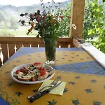 Pensjonat Salamandra Village *