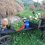 Pensjonat Salamandra Village